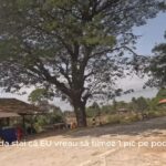 Ly Son Island, Vietnam: How to Get There, Costs and Best Time