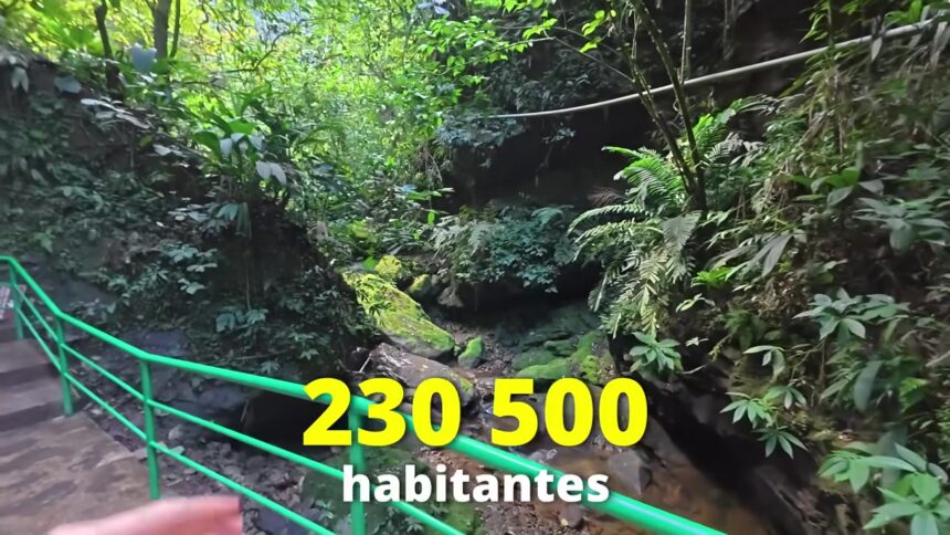 Tarapoto and the Peruvian Jungle Adventure Guide