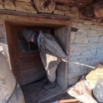 Romanian Village Traditions and Rural Life: A Maramureș Guide