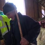 Rural Romania Travel Guide: Traditions and Village Life