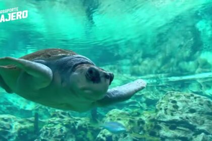 Best Places to Visit in Orlando: A Practical 2026 Travel Guide