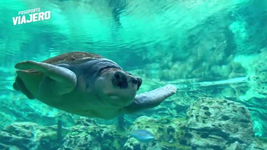 Best Places to Visit in Orlando: A Practical 2026 Travel Guide