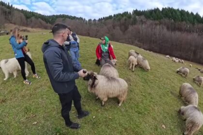 Romania Traditional Shepherd Culture in the Carpathians: A Practical 2026 Guide