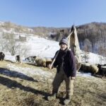 Rural Romania Guide: Village Traditions and Authentic Local Life