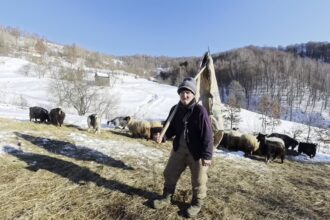 Rural Romania Guide: Village Traditions and Authentic Local Life