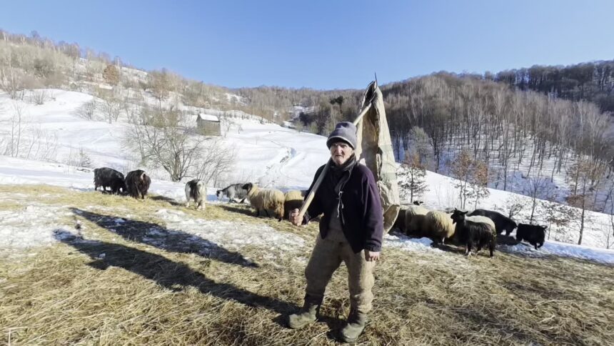 Rural Romania Guide: Village Traditions and Authentic Local Life