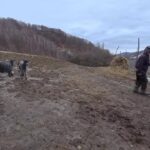 Rural Romania Cultural Travel Guide: Village Traditions and Heritage Experiences