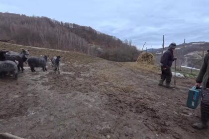 Rural Romania Cultural Travel Guide: Village Traditions and Heritage Experiences