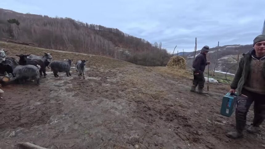 Rural Romania Cultural Travel Guide: Village Traditions and Heritage Experiences
