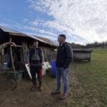 Rural Romania Traditions: Bulz, Sheepfolds and Campfire Culture